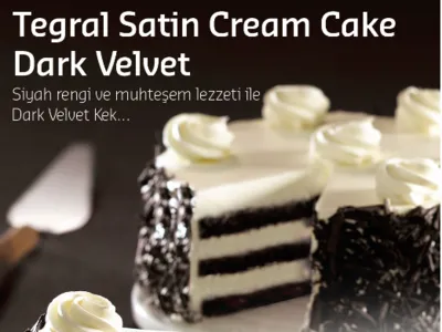 Tegral Satin Cream Cake Dark Velvet