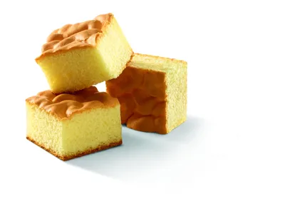 Easy Sponge Plus AF