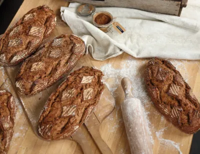 Sapore Daphne Aktif Buğday Ekşi Maya