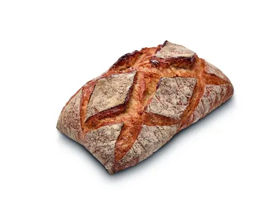 Sapore Daphne Tempo Buğday Ekşi Maya