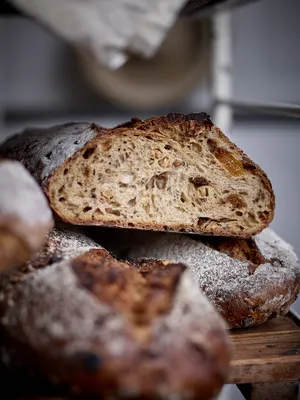 Softgrain Sprouted Rye (Softgrain Filizlendirilmiş Çavdar)