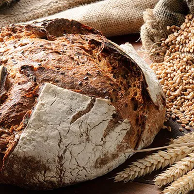 Tegral Puravita Alman Çavdarı