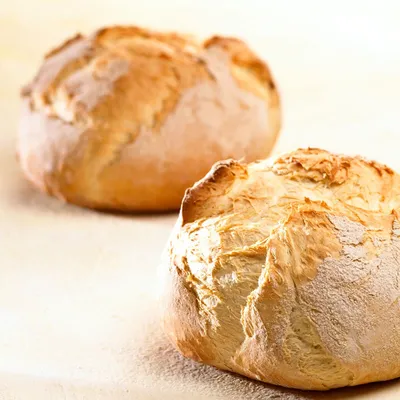 Tegral Puravita Tradizone