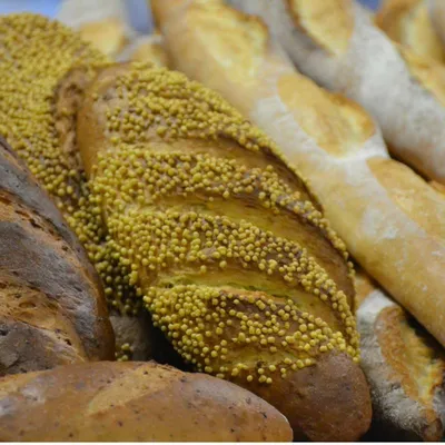 Tegral Toppıng Mısır