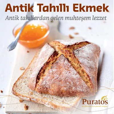 Easy Puravita Antik Tahıllı